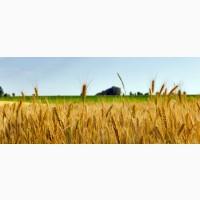 Продам агрофирму с землей