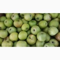 Продам симиренку