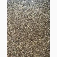 Продам семена люцерны