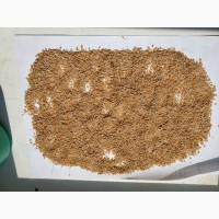 Крупа пшеничная