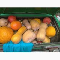 Продам домашнюю вкусную тыкву