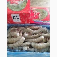Придам криветку тигрову звичайну лангустини морепродукти на опт