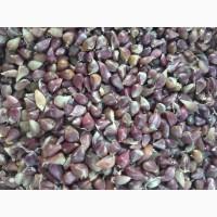 Воздушка.часника с.Любаша.фц.4+-5мм на фото