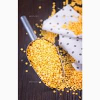 Продам горох жовтий, 500 т., Харківська обл., с.Кицівка