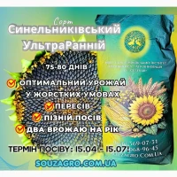С0няшник Синельникі8ський УльтрвРвнній (СУР), 75-80 дні8, Екстрв Плюс