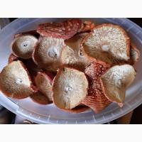 Продам сушений мухомоо