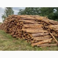 Продам дрова соснові