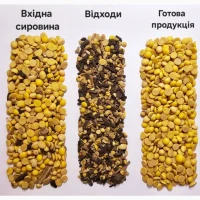 Підготовка насіння до європейських стандартів