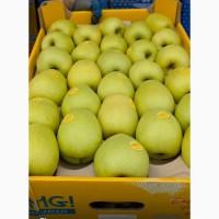 Продам яблука, сорт Слава, Гала, Чемпіон, Принц, Пінова, Флоріна, Моді, Фуджі, Голден