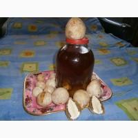 Продам Настойку гриба весёлки