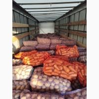 Продам картоплю