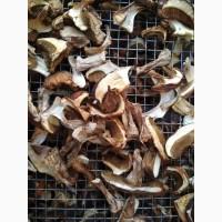Продам гриби сушені