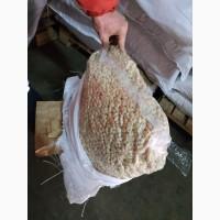 Продам арахис бланш Китай