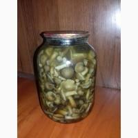 Продам маринованные грибы (опята, маслята)
