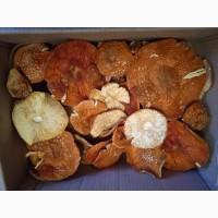 Мухомор сушеный 2025 год