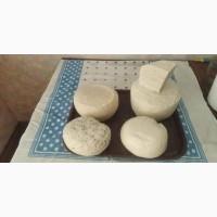 Продам брынзу