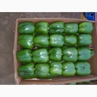 Продам перец