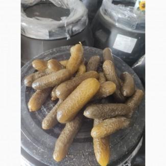 Огурец соленый