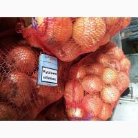 Продам лук оптом