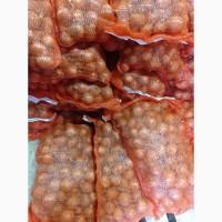 Продам Семена Лука Севок Арпаш Кущёвка Голландия