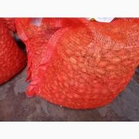 Продам Семена Лука Севок Арпаш Кущёвка Голландия