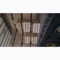 Продам ящики для овочів