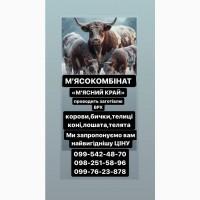 Мʼясокомбінат «Мʼясний Край» Дорого Закуповує ВРХ
