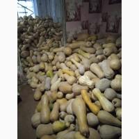 Продам Гарбузи