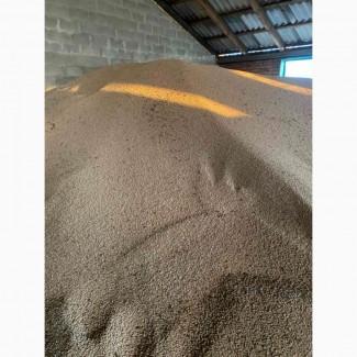 Продам горох жовтий