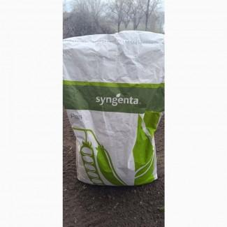 Продам насіння супер солодкого гороху сортів Оскар та Прєладо