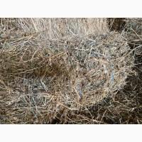Продаємо сіно люцерни