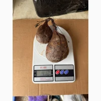 Продам боброву струю оптом по Україні