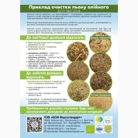 Підготовка насіння льону