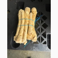 Продам корінь хрону, хрін