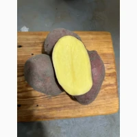 Продам картоплю Есмі (Esmee) – елітна голландка