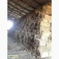 Продам Сено- Солому -Люцерну