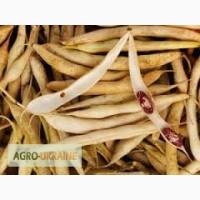 Фасоль, створки