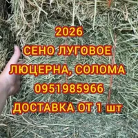 Сено луговое, Сено люцерны. Доставка. Объёмы. Качество