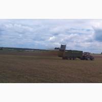 Гноєрозкидач, розкидач органічних добрив ТЗП Атлант Кобзаренка