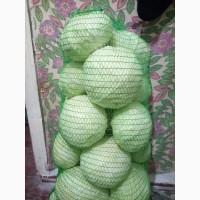 Продам Капусту