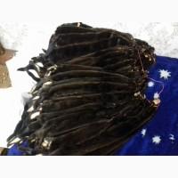 Хутро норки