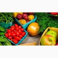Продам семена овощей опт и розница, новых сортов цветов, насіння овочів купити