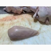 Продам Куриное филе