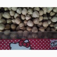 Нут опт от производителя