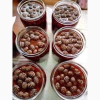 Продам варенье с сосновых шишек