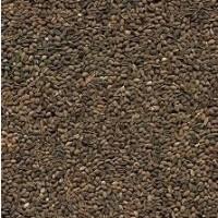 Продам семена ФАЦЕЛИИ Урожай 2020 года