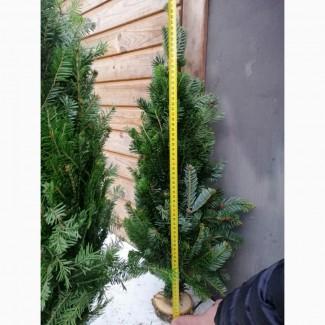 Елка наборная на подставке Смереки «Пихта»