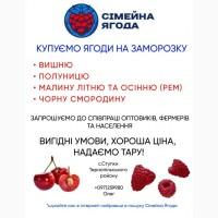 Купуємо малину