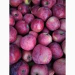 Яблуко з особистого саду