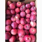 Яблуко з особистого саду